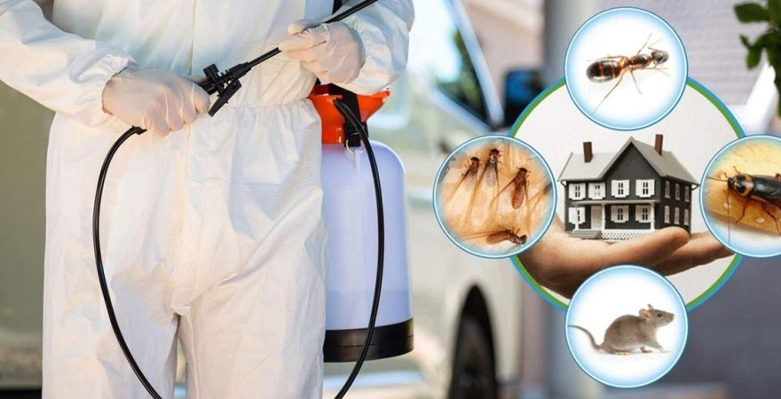 Çermik Böcek İlaçlama