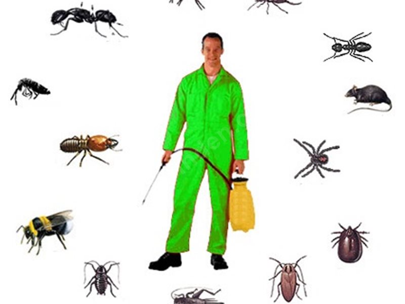 Çermik Böcek İlaçlama